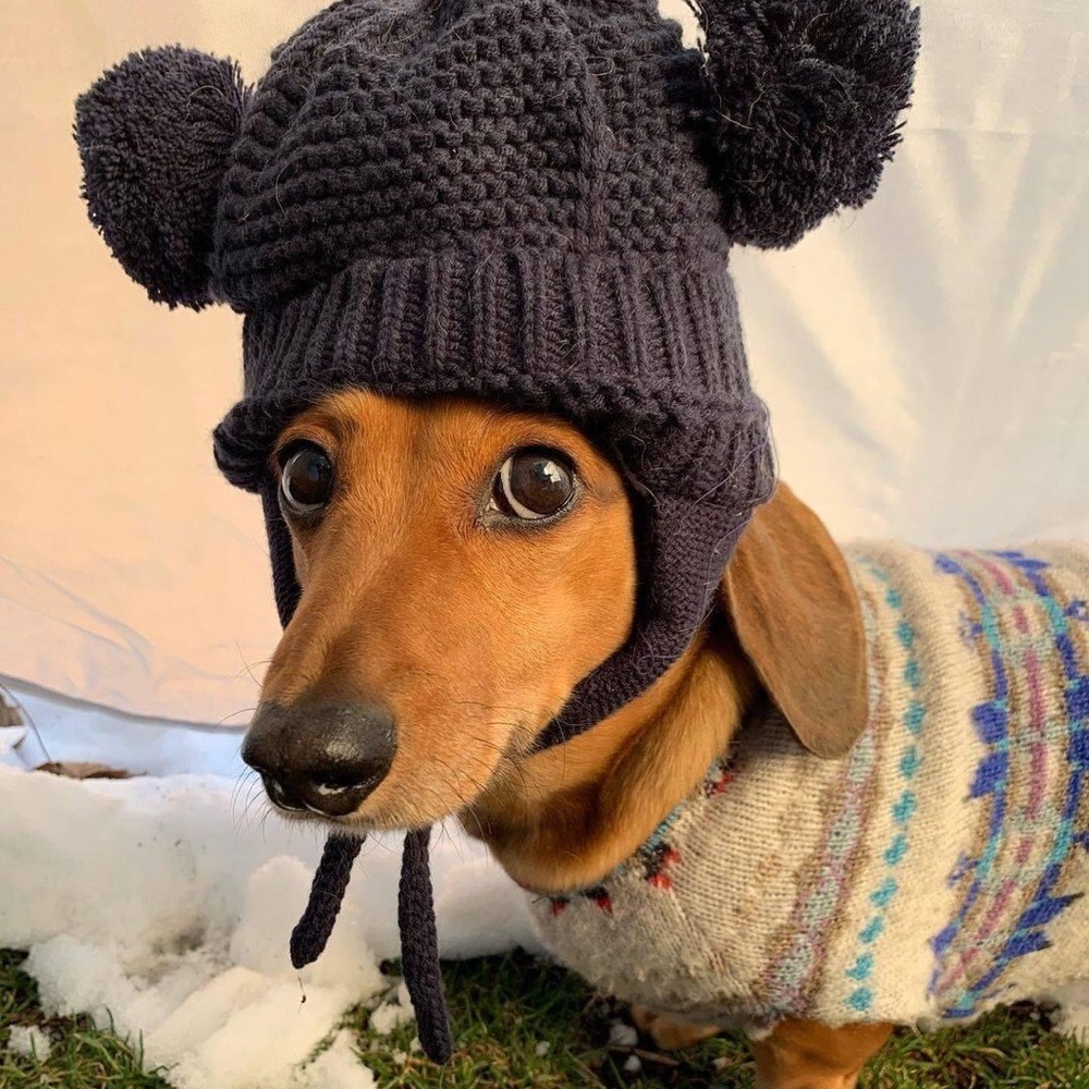 Meet your Posher, Roberta